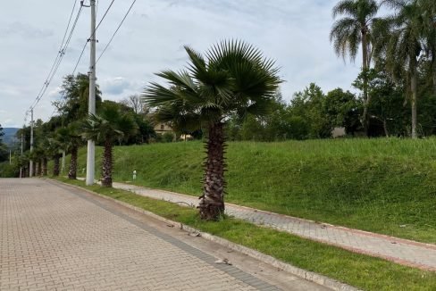 thumbnail_IMG_0272