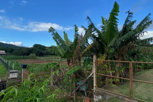 thumbnail_IMG_1730