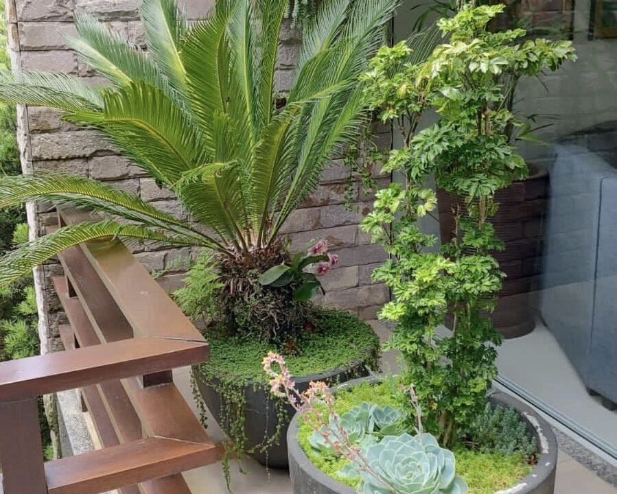 thumbnail_d05616c6-86d2-4161-b94f-12df2d42f594