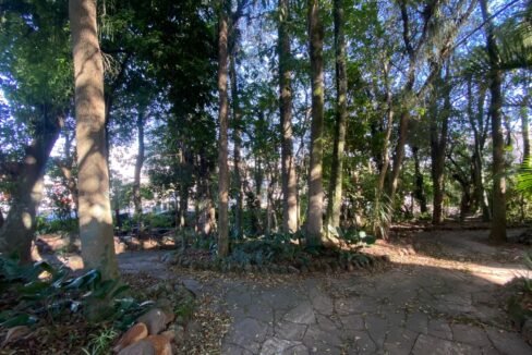 thumbnail_IMG_4912