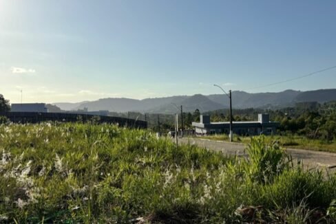 thumbnail_IMG_3906