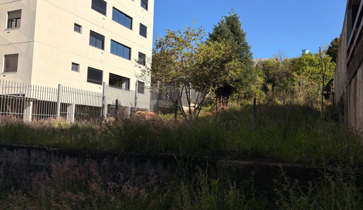 thumbnail_IMG_9214