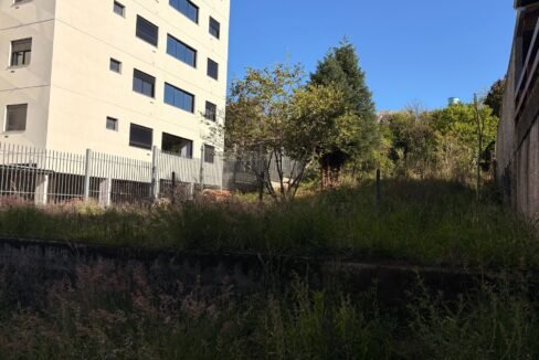 thumbnail_IMG_9214